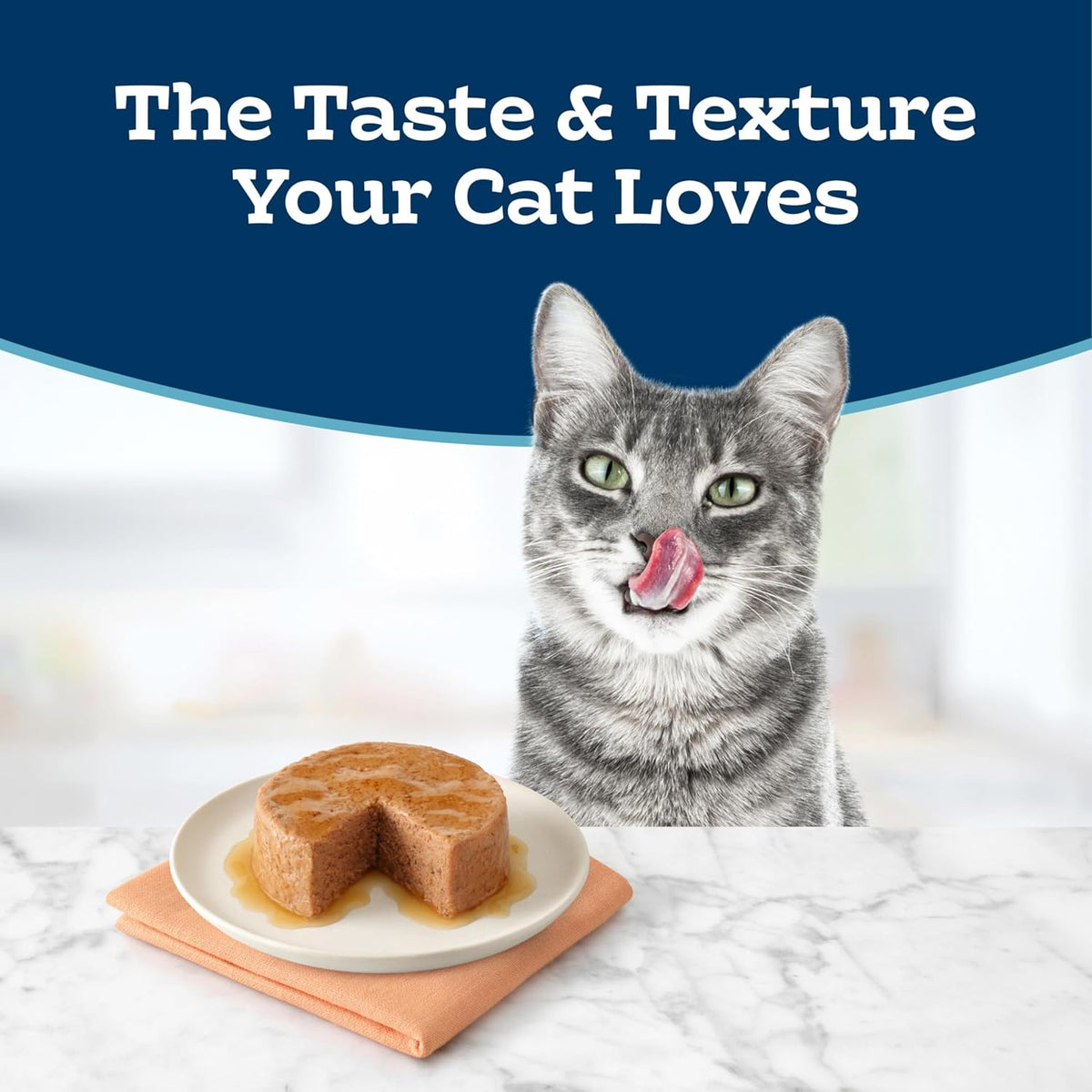 Blue Buffalo wet cat food turkey flavor can