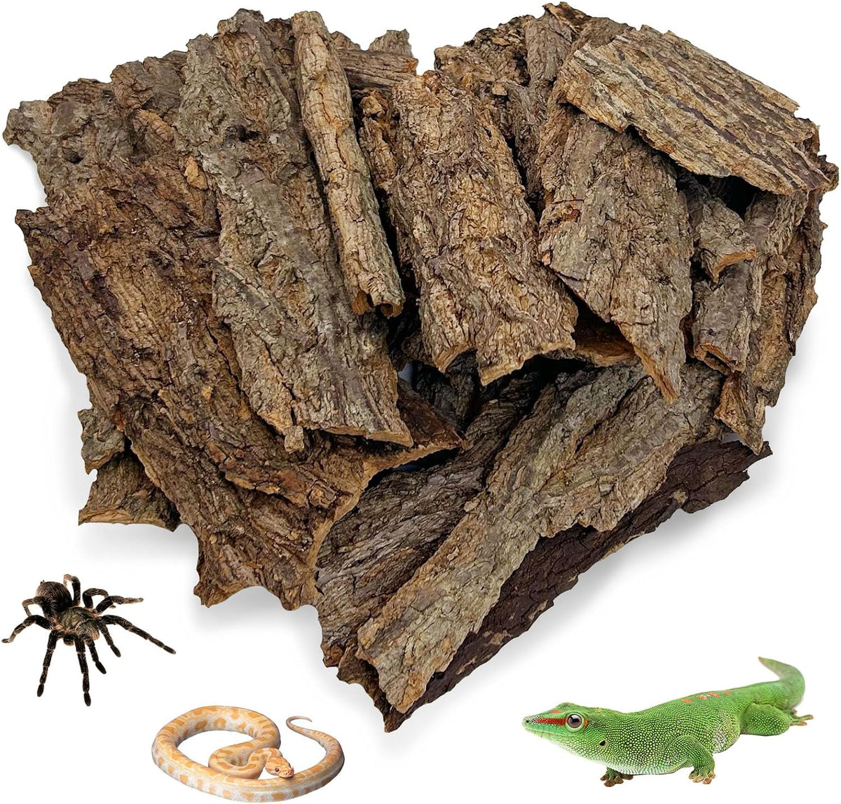 Natural Reptile Cork Bark Bedding Bearded Dragon Climbing Wall Mat 6PCS Cork Wood for Terrarium Background Decor Crested Gecko Tank Accessories for Lizard Snake Chameleon Tortoise Frog - Image 13