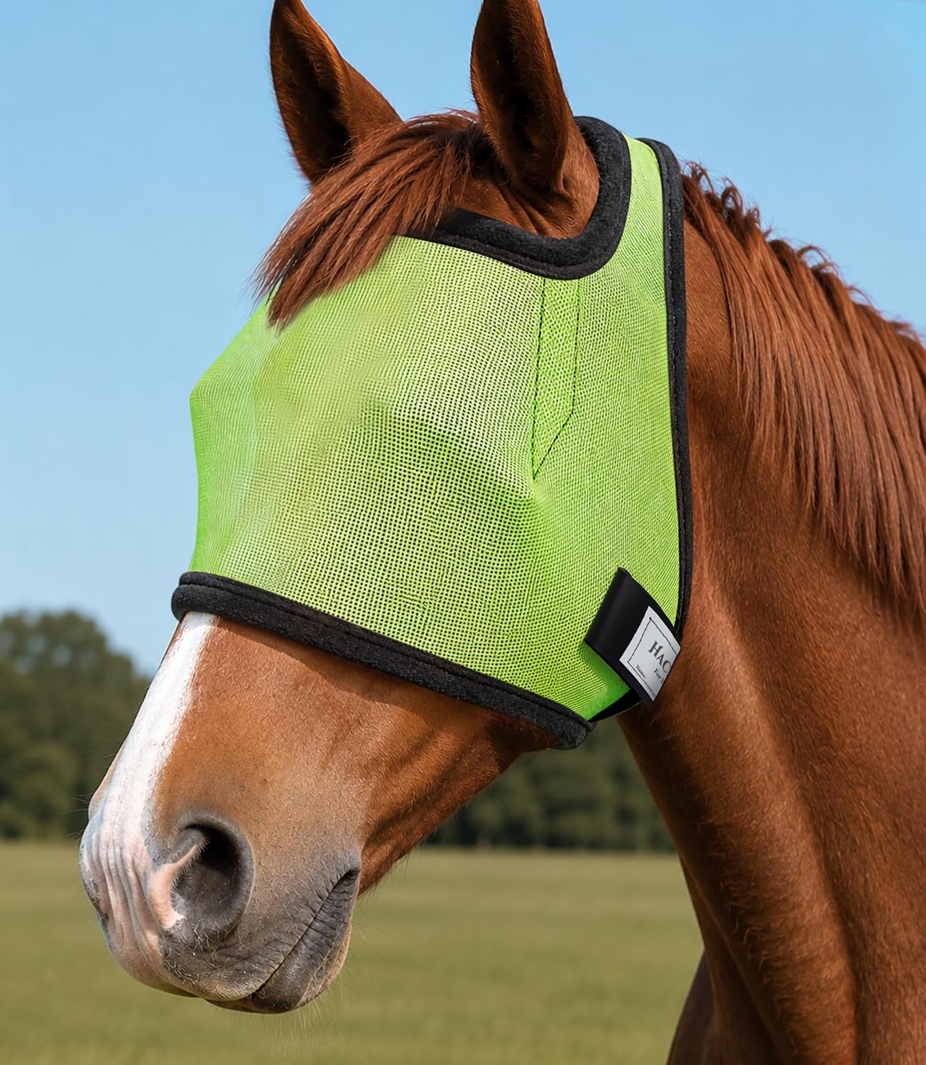 Fly Masks for Horses Without Ears, Non-Heat-Transferring Mesh w/UV Protection, Safe Eye Distance, Forelock-Open Horse Fly Mask, Ideal for Daily Turnout/Trail Riding/Pasture, Champion Blue L - Image 10