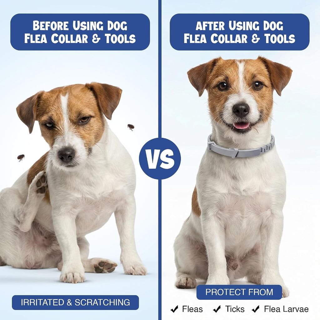 BKRMART dog flea collar packaging front view