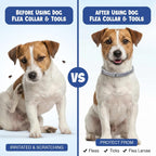 BKRMART dog flea collar packaging front view
