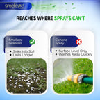 Smelleze eco friendly outdoor turf cleaner applied on artificial backyard grass
