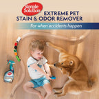 Simple Solution Extreme Cat Stain Eliminator, Stain Remover for Cats, Kitten Essentials, Floor Cleaner, Urine Destroyer, Carpet Cleaner Spray, Pet Odor Eliminator for Home, 32oz (Pack of 2) - Image 9
