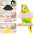 Small parrot wearing a pink velvet leather Elizabethan recovery cone for wound healing