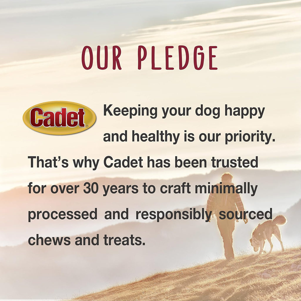 Cadet Stuffed Shin Bone, Long-Lasting Dog Chew Bones for Aggressive Chewers, High Protein Filled Bone Dental Chew for Dogs, Peanut Butter Flavor Filling, 3-4" for Small Dogs, 3 Pack - Image 11