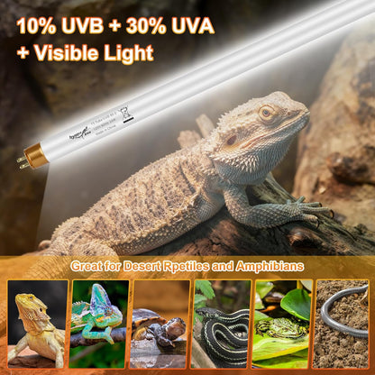 REPTI HOME ten point zero UVB lighting two pack for desert reptiles.