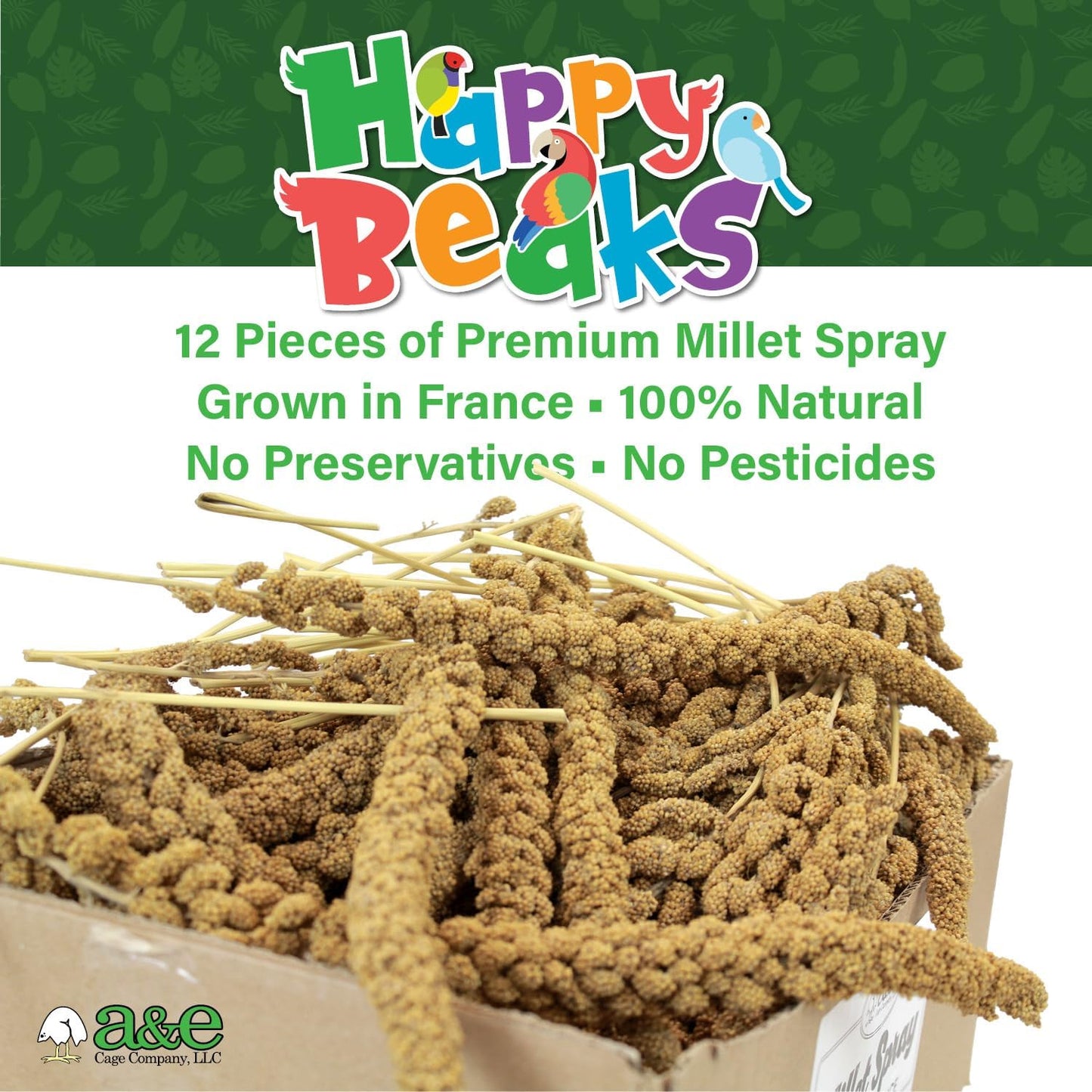 Close up of natural French millet sprays inside retail packaging