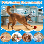 Didopet premium dog medical safety cone with secure elastic collar loops.