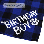 Set of age numbers for cat birthday decoration