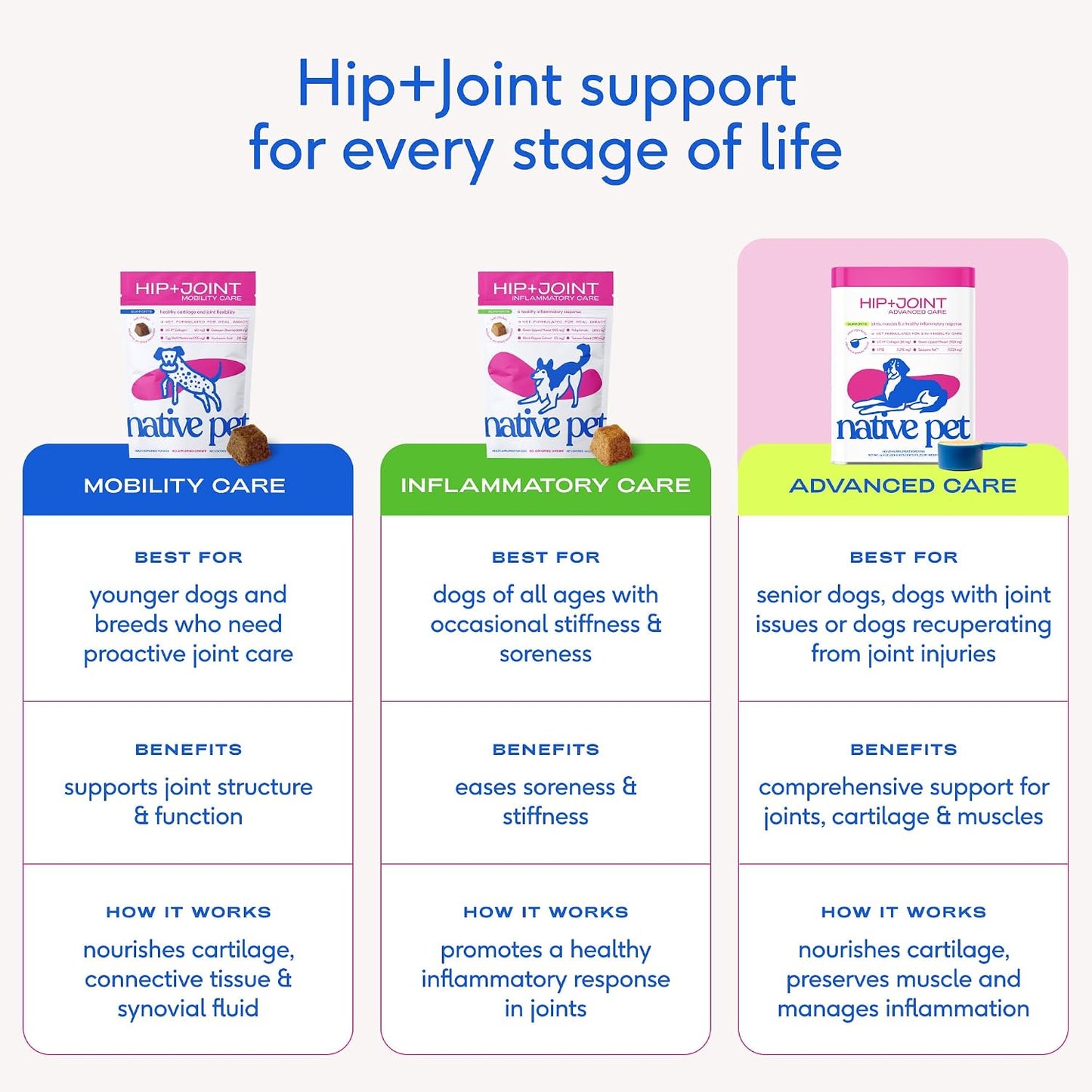 Native Pet Hip & Joint Advanced Care Dog Joint Supplement Powder for Mobility & Movement Support, Joint Supplement for Dogs with HMB, UC-II Collagen, Green Lipped Mussel & Hyaluronic Acid - 30 Scoops - Image 9