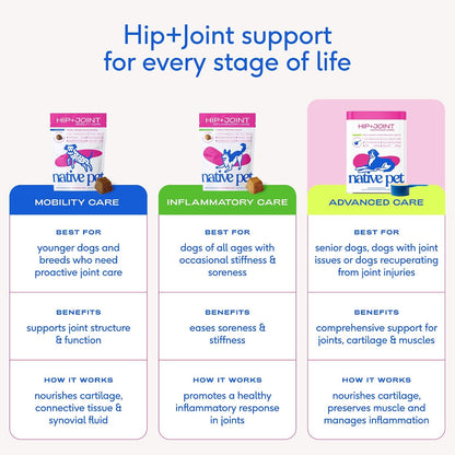 Native Pet Hip & Joint Advanced Care Dog Joint Supplement Powder for Mobility & Movement Support, Joint Supplement for Dogs with HMB, UC-II Collagen, Green Lipped Mussel & Hyaluronic Acid - 30 Scoops - Image 9