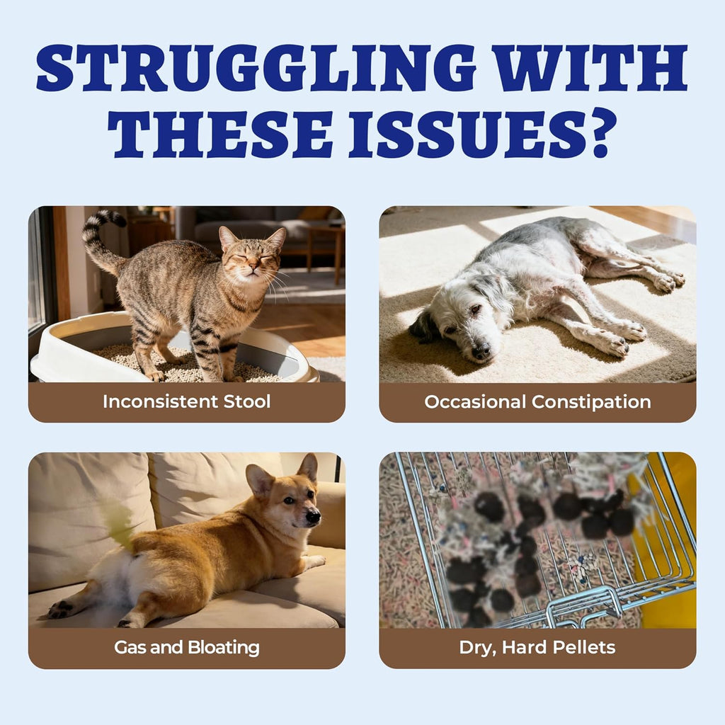 Natural laxative liquid for pets with dandelion root and probiotics ingredients