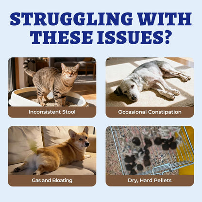 Natural laxative liquid for pets with dandelion root and probiotics ingredients