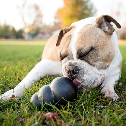 KONG Extreme natural rubber toy hollow center view for treat filling capability