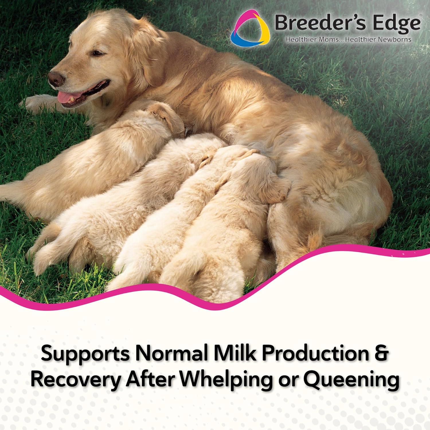 Close up of Breeder's Edge Oxy Momma soft chew texture