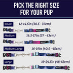 Leash Boss imported pet collar showing separate leash loop and identification tag rings