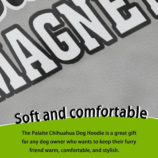 Small dog wearing Paiaite printed shirt