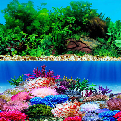 Double sided ELEBOX underwater theme aquarium wallpaper showcasing both marine scenes.
