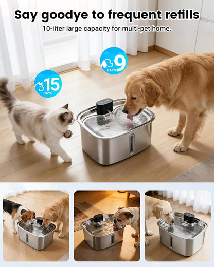 Multi-filtration system components for pet fountain