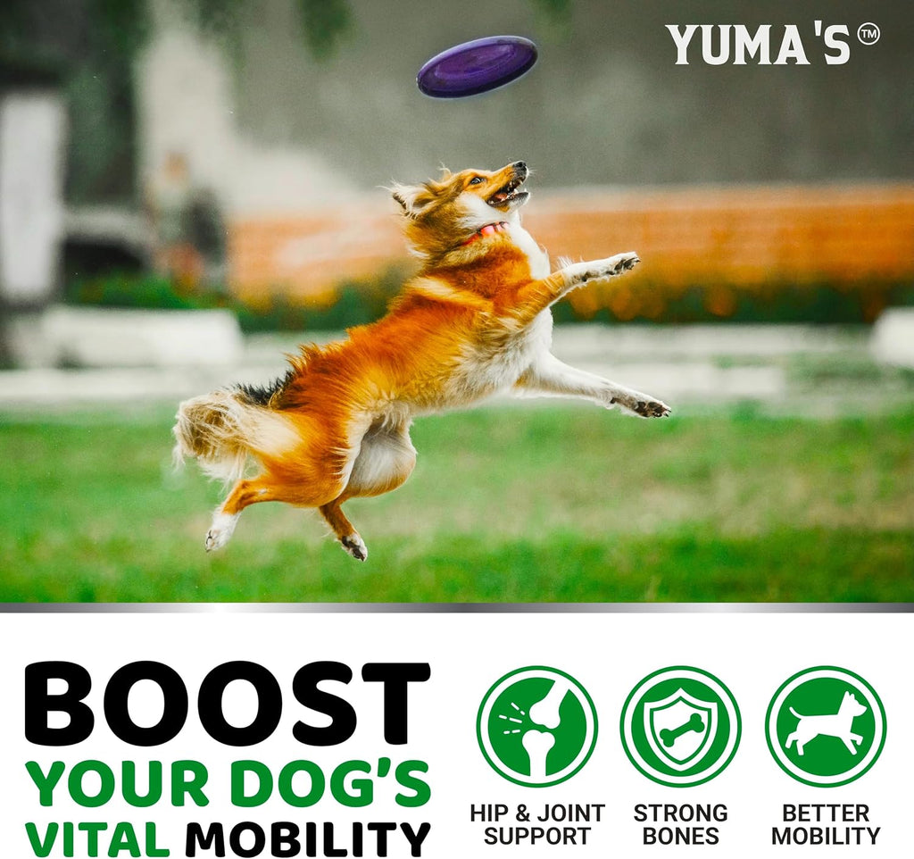 Authentic YUMA'S glucosamine chondroitin soft chews package sizing info.