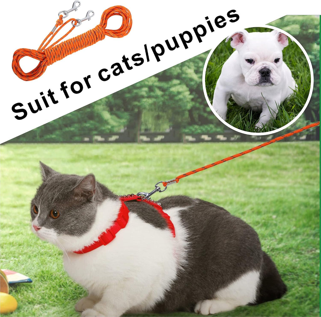 Orange pet leash being used for rabbit outdoor training