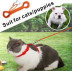 Orange pet leash being used for rabbit outdoor training