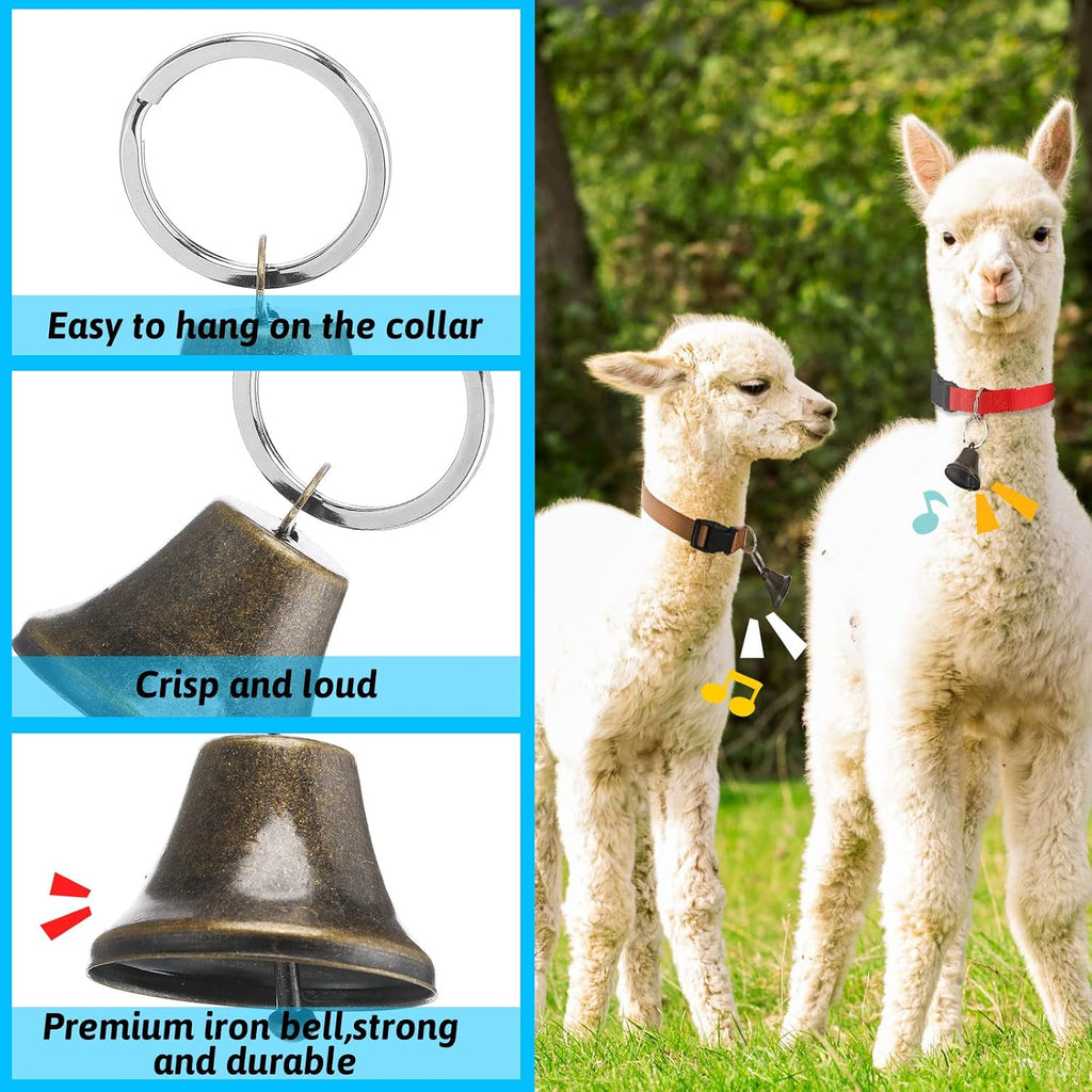 Domestic goat wearing a brightly colored adjustable Jexine identification strap in an open pasture.