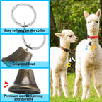 Domestic goat wearing a brightly colored adjustable Jexine identification strap in an open pasture.