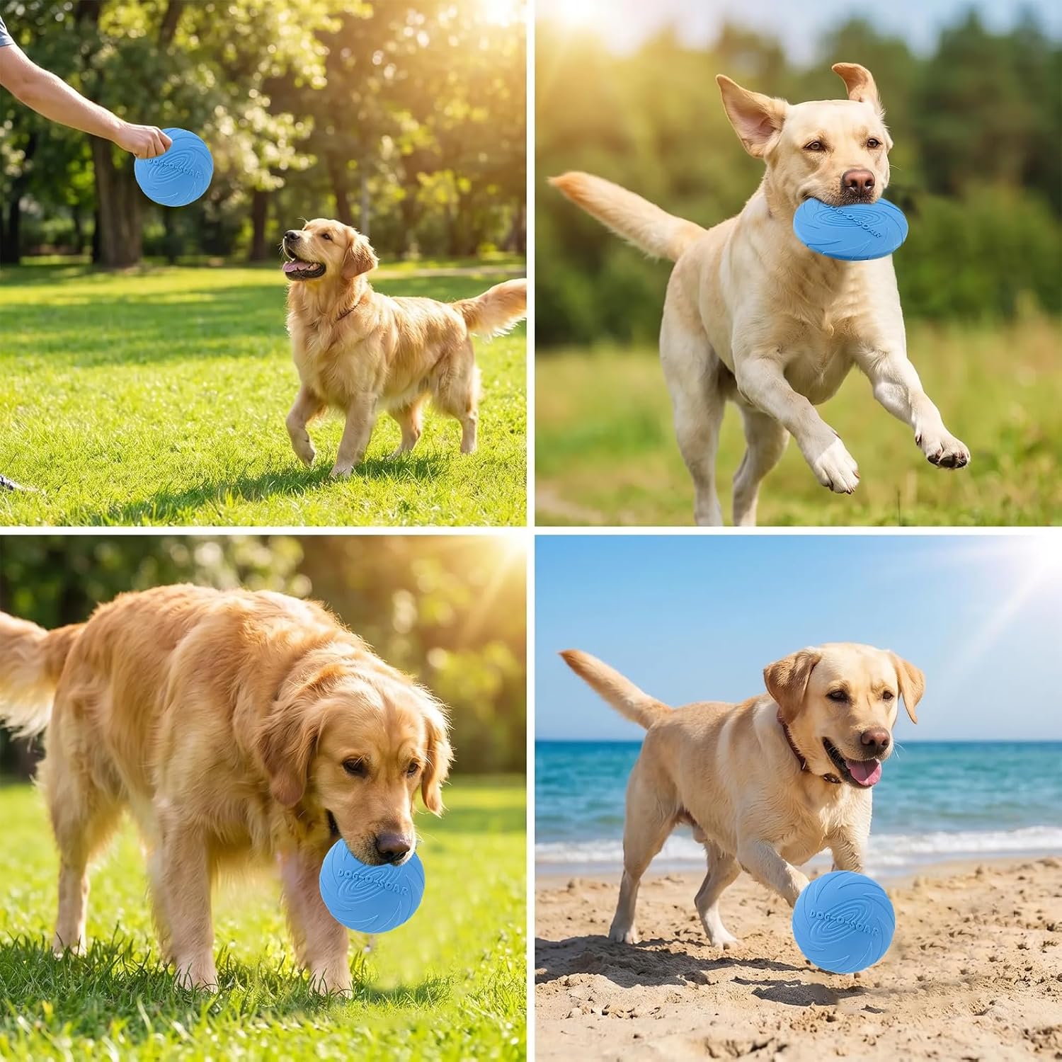 Xigou outdoor training dog toy for fetch
