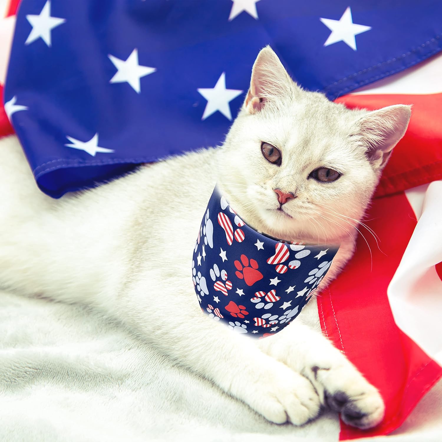 Pohshido red white and blue dog bandana folded neatly for medium and large pets