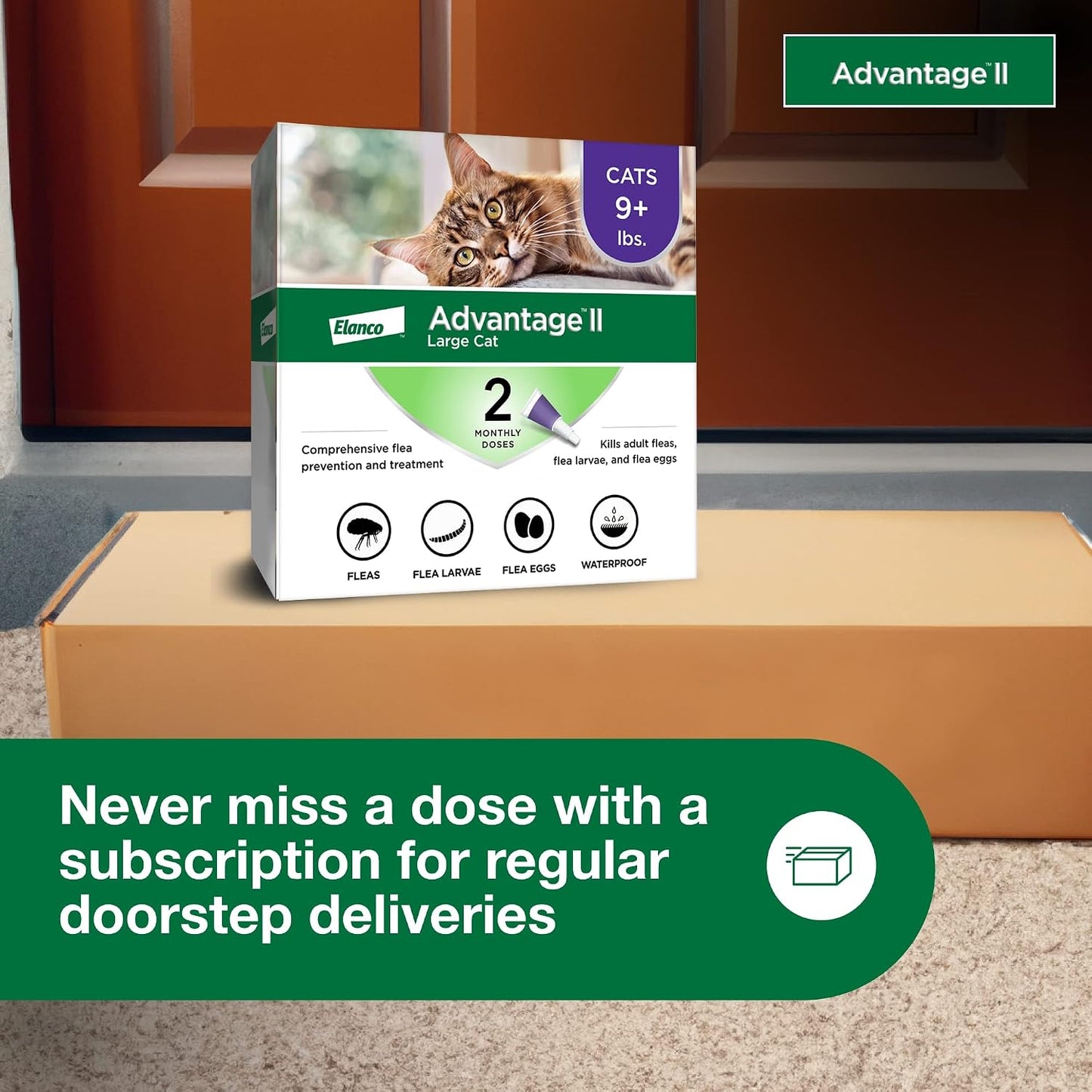 Advantage II Large Cat 2 pack box showing the Elanco manufacturer logo and weight specifications.