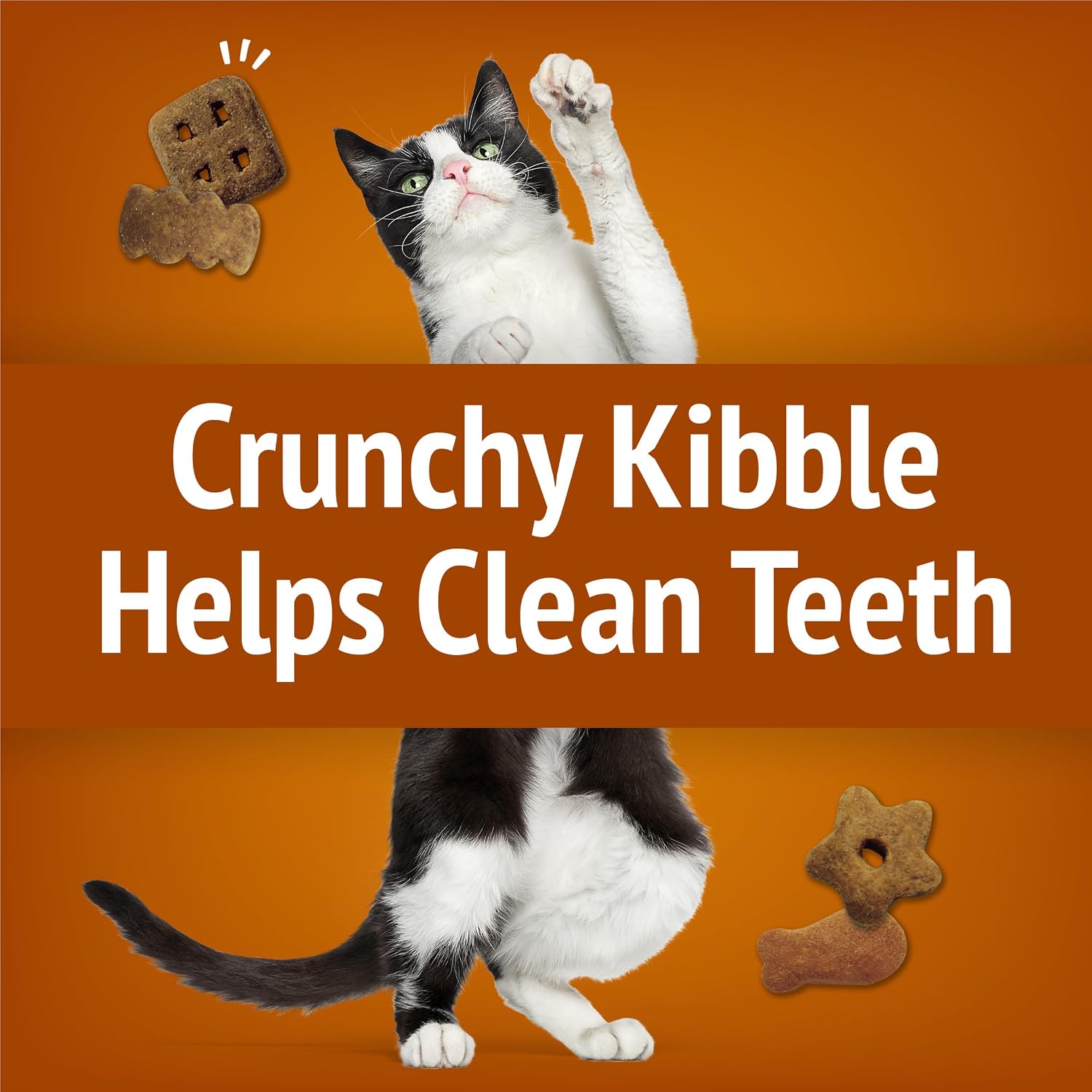 Imported USA cat treats Purina Party Mix for adult cat dental care
