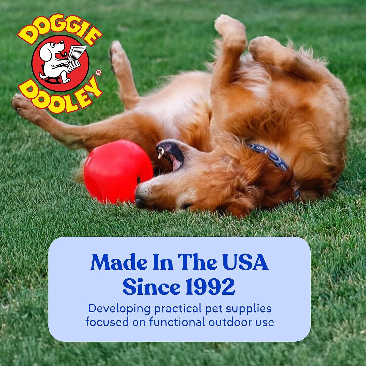 Doggie Dooley ball durable polyethylene surface texture