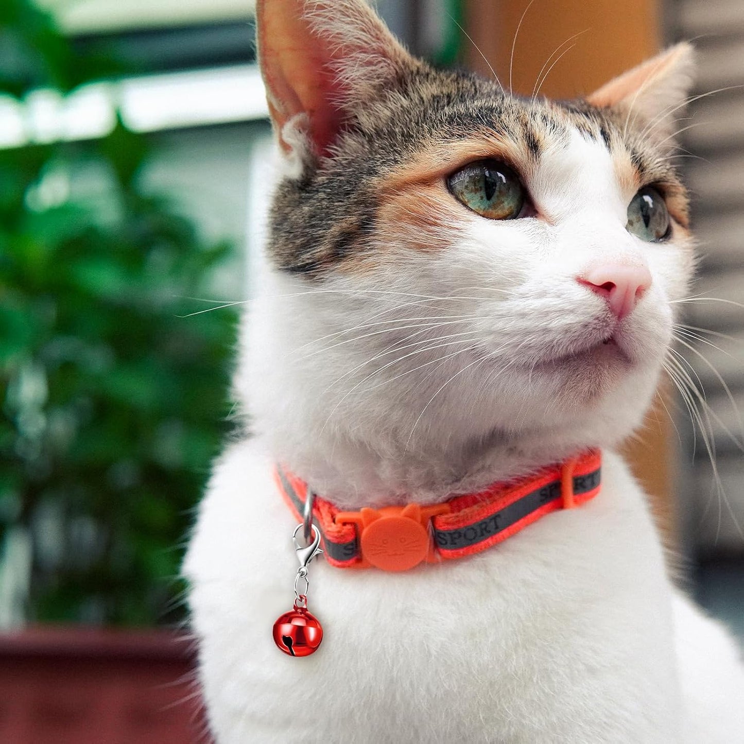 WJIAAA pet collar bell set displaying bright red pink green royal blue and purple metal pendants