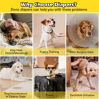 Back view of the Dono female dog diaper showing proper placement for small dog breeds