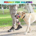 Barkless dog head collar packaging and product overview