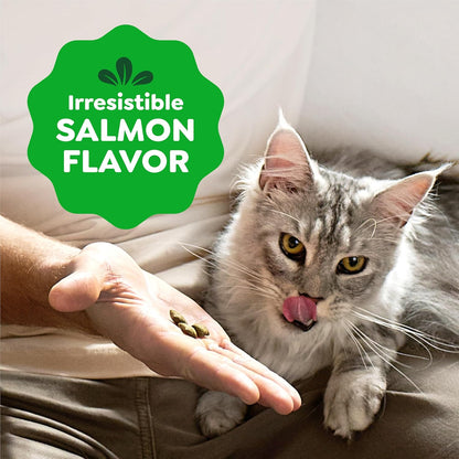 Cat eating Greenies Smartbites salmon flavored treats