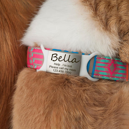 Anavia custom laser engraved jingle free pet tag packaging view
