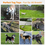 High energy dog jumping to catch the LOOBANI hanging rope tether toy