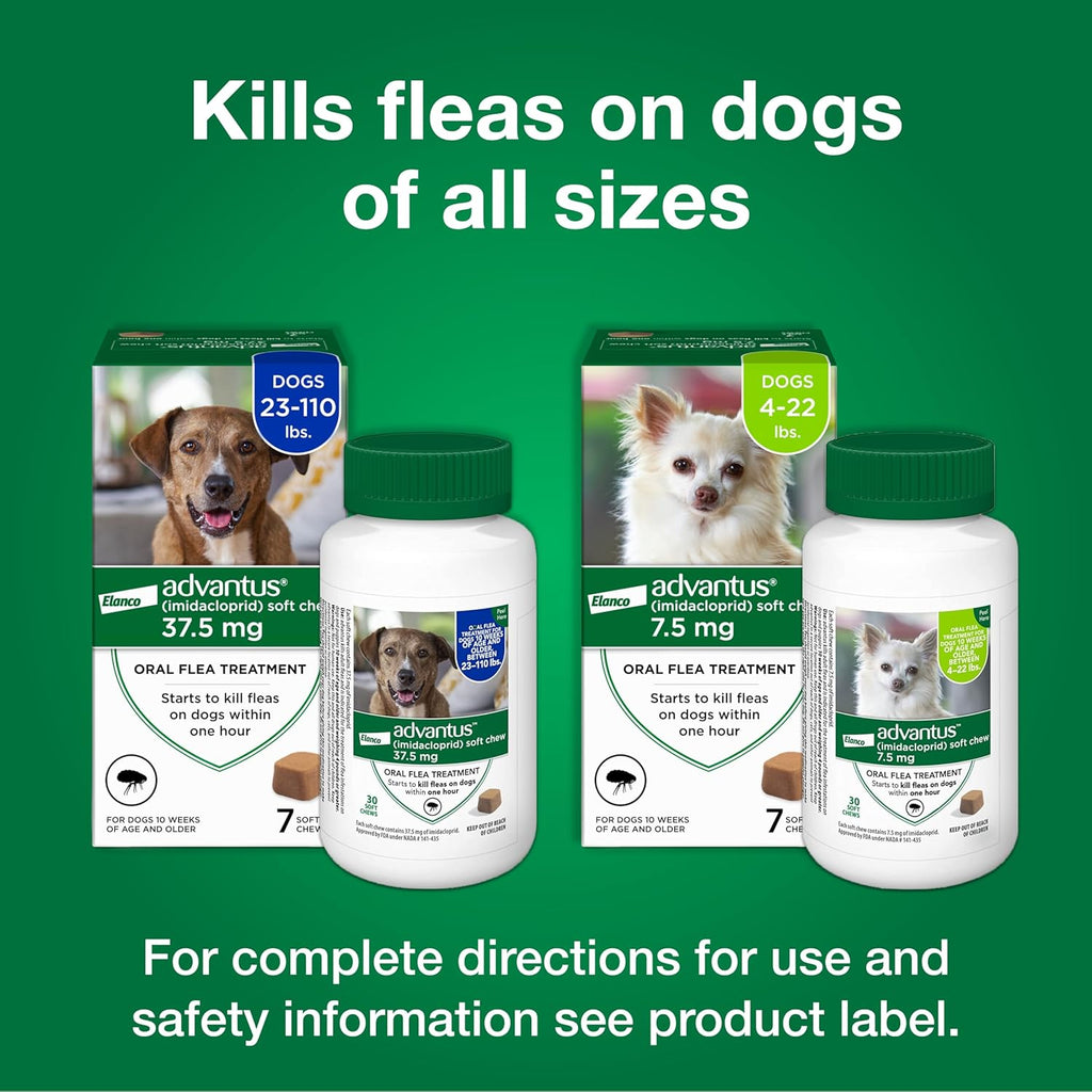 Premium imported pet flea treatment soft chews for large canine breeds