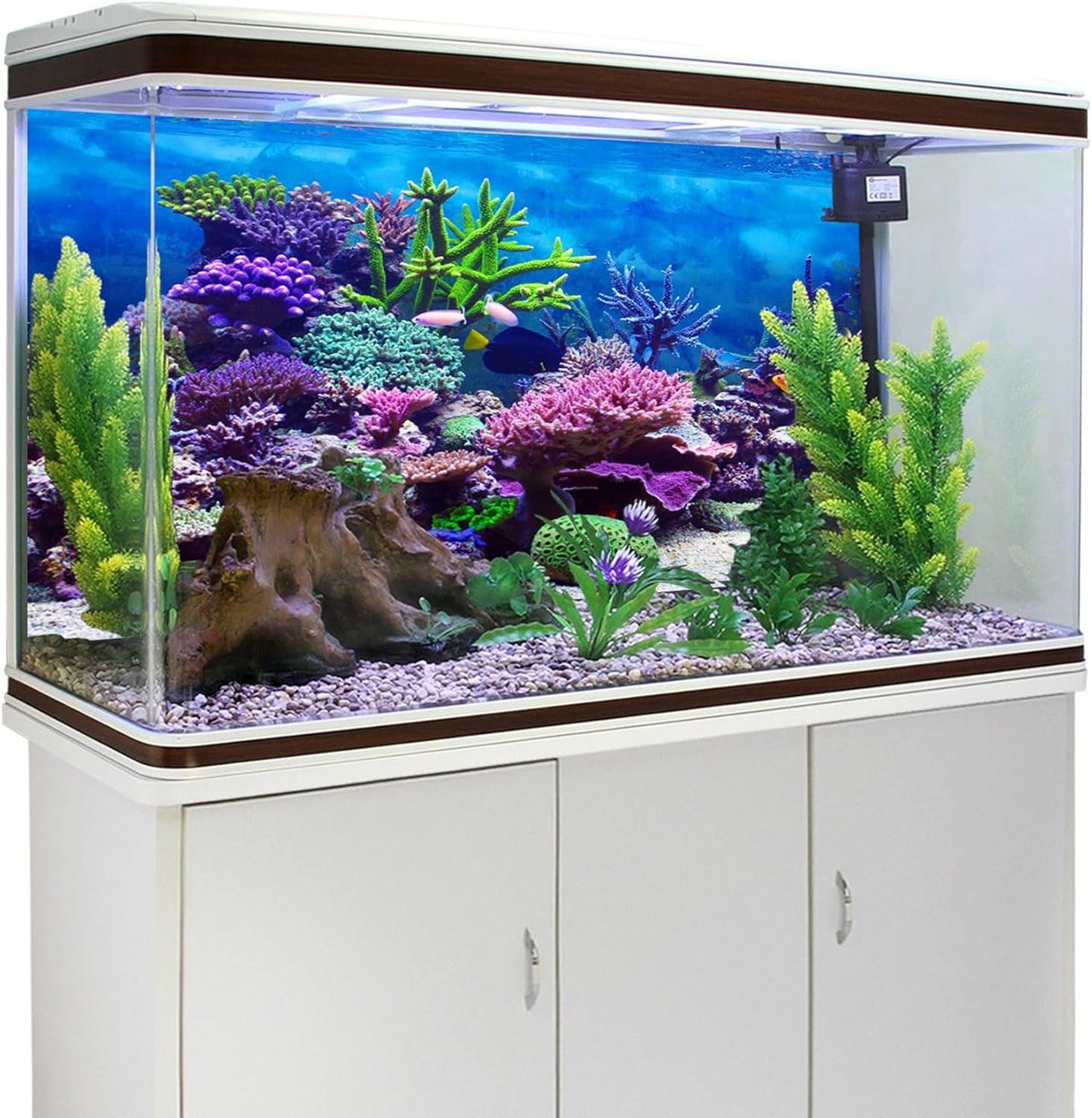 Reptile habitat terrarium background thirty six by fourteen inches size.