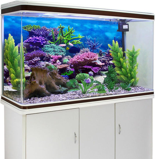Reptile habitat terrarium background thirty six by fourteen inches size.