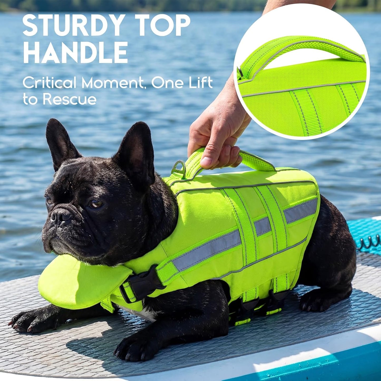 Green adjustable dog life vest with reflective safety strips