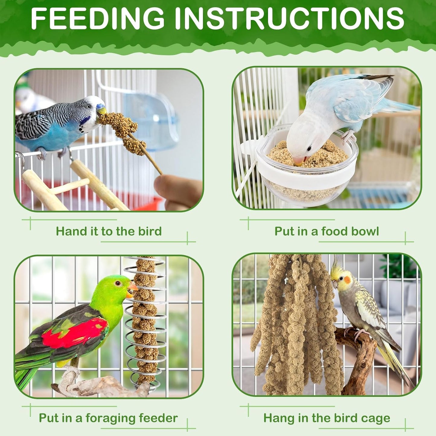 Parakeet eating Erkoon millet spray treat in cage