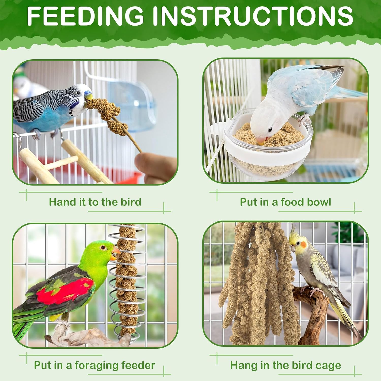 Parakeet eating Erkoon millet spray treat in cage