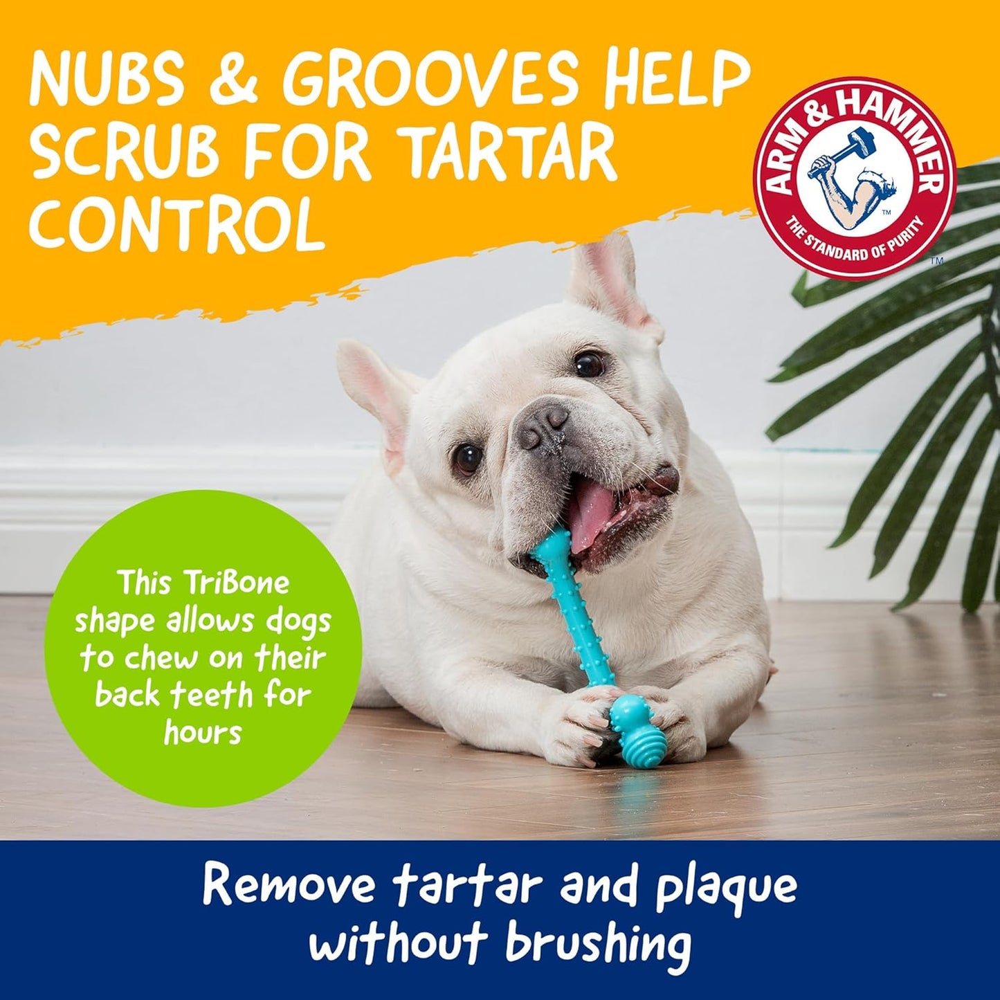 Close up of TPR nubs on Arm and Hammer dog toy