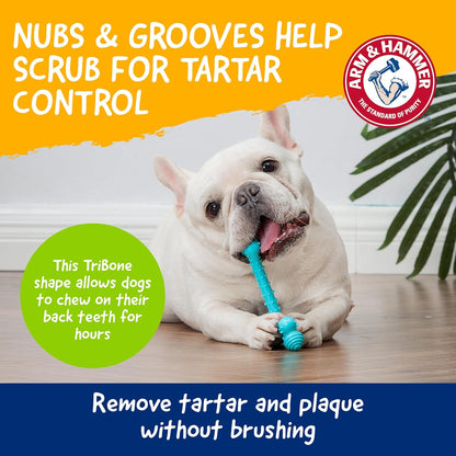 Close up of TPR nubs on Arm and Hammer dog toy