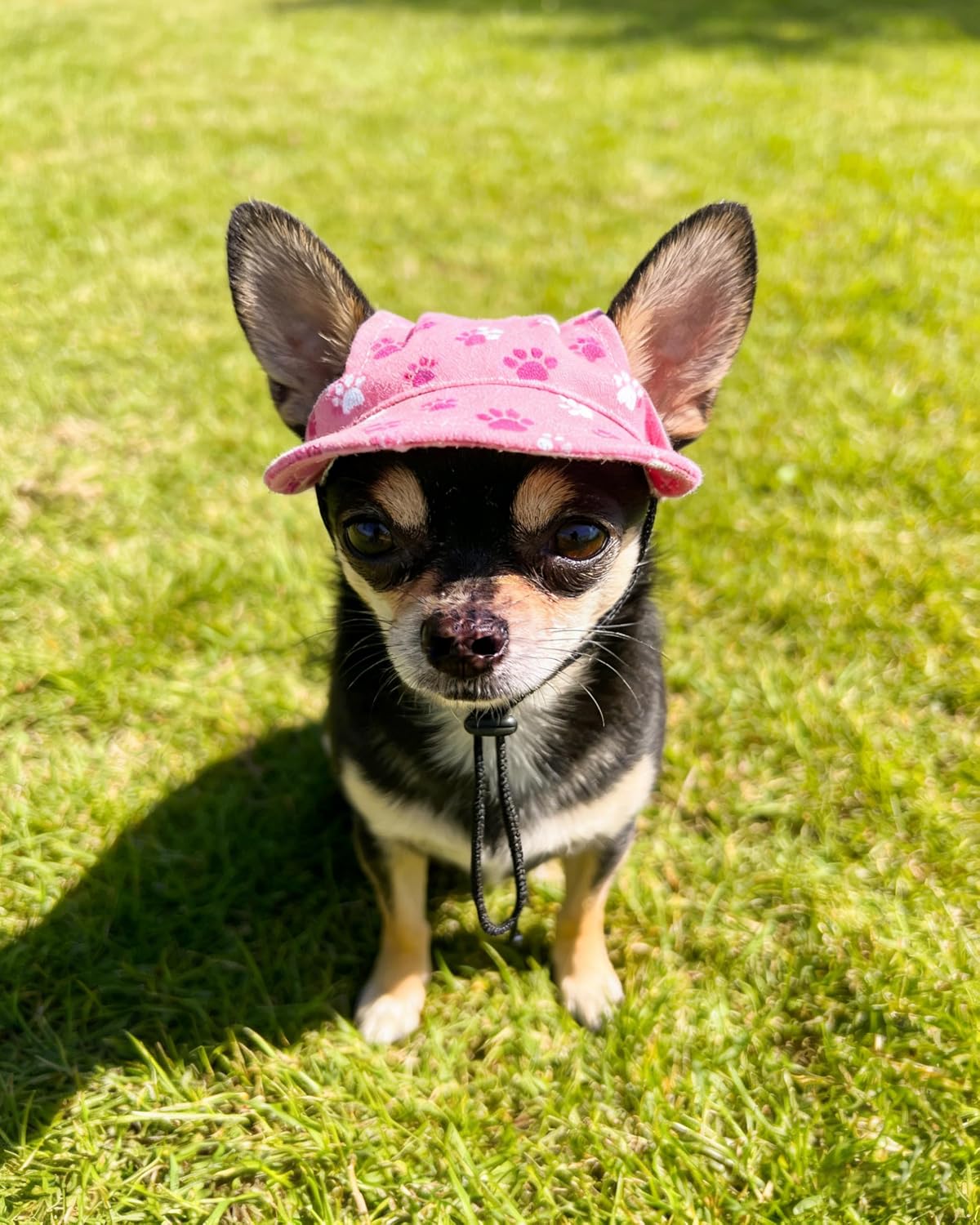 Back view of Pet Show pet cap with drawstring