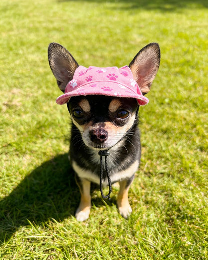 Back view of Pet Show pet cap with drawstring