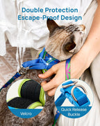 PetThem breathable mesh cat harness with matching nylon leash